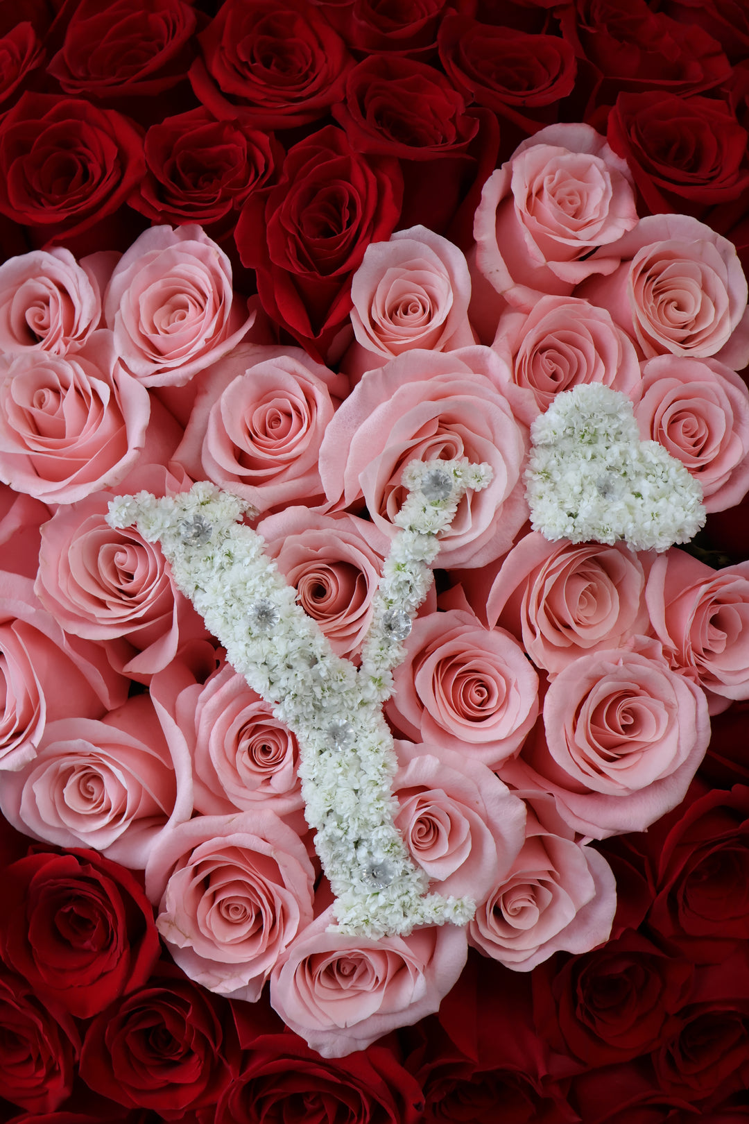 100 Red Roses Heart-Shaped Bouquet with Baby's Breath Initial & Custom Banner